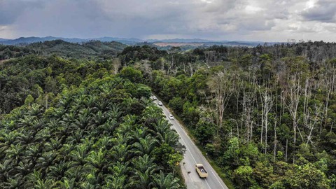 Indonesia thông qua luật dời đô, đặt tên thủ đô mới là Nusantara - Ảnh 1. Indonesia thông qua luật dời đô, đặt tên thủ đô mới là Nusantara - Ảnh 1.
