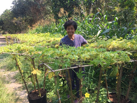 Món khổ qua hầm thịt kiêu hãnh của má - Ảnh 2. Món khổ qua hầm thịt kiêu hãnh của má - Ảnh 2.