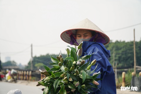 Hoa Tết được giá, người dân làng hoa Tây Tựu, Hà Nội phấn khởi - Ảnh 2. Hoa Tết được giá, người dân làng hoa Tây Tựu, Hà Nội phấn khởi - Ảnh 2.