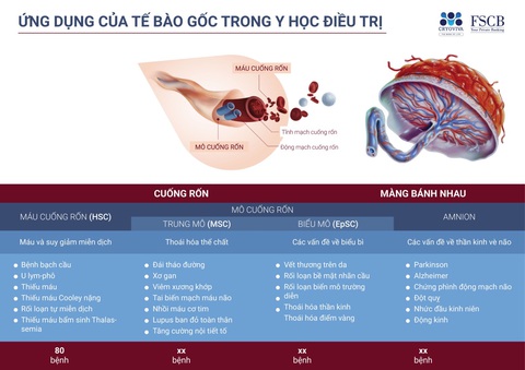 Cryoviva Vietnam hỗ trợ điều trị máu cuống rốn đến 300 triệu đồng - Ảnh 1. Cryoviva Vietnam hỗ trợ điều trị máu cuống rốn đến 300 triệu đồng - Ảnh 1.