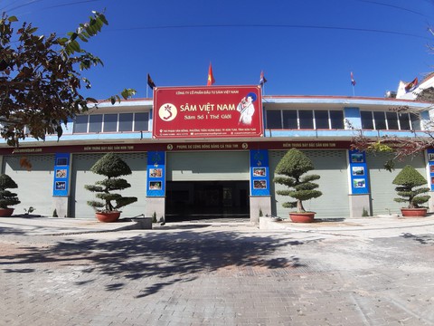 Doanh nghiệp quảng cáo có 10ha sâm: Thực tế không có - Ảnh 1. Doanh nghiệp quảng cáo có 10ha sâm: Thực tế không có - Ảnh 1.