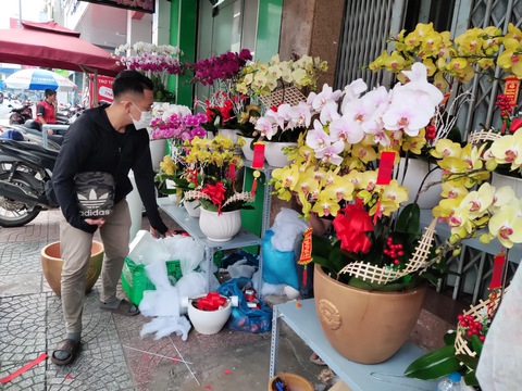 Lan hồ điệp chưng Tết hút hàng, tăng giá - Ảnh 1. Lan hồ điệp chưng Tết hút hàng, tăng giá - Ảnh 1.