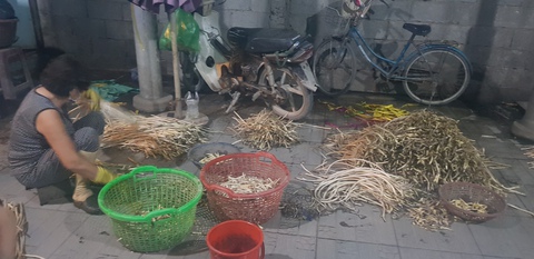 Cơ sở ở TP.HCM ngâm 8 tấn ngó sen trong hóa chất để bán ra thị trường - Ảnh 1. Cơ sở ở TP.HCM ngâm 8 tấn ngó sen trong hóa chất để bán ra thị trường - Ảnh 1.