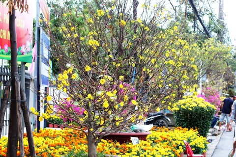 Buồn không duyên cớ và nhớ vu vơ về những ngày Tết đã xa thật xa - Ảnh 2. Buồn không duyên cớ và nhớ vu vơ về những ngày Tết đã xa thật xa - Ảnh 2.