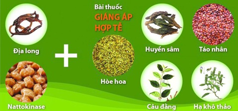 Đột quỵ ngày Tết, giải pháp nào giúp người huyết áp cao tự vệ? - Ảnh 3. Đột quỵ ngày Tết, giải pháp nào giúp người huyết áp cao tự vệ? - Ảnh 3.