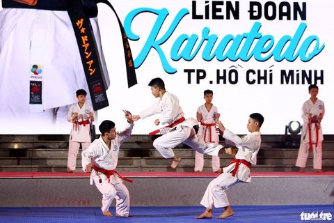 Liên hoan võ thuật TP.HCM lần I: Quảng bá những tinh hoa - Ảnh 3. Liên hoan võ thuật TP.HCM lần I: Quảng bá những tinh hoa - Ảnh 3.