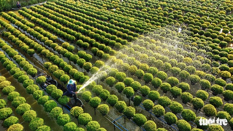 Ngắm ảnh dự thi Nụ xuân nghe hương Tết rộn ràng - Ảnh 1. Ngắm ảnh dự thi Nụ xuân nghe hương Tết rộn ràng - Ảnh 1.