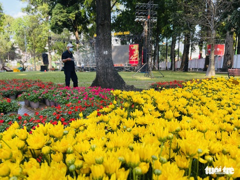 Chạy nước rút cho Hội hoa xuân Nhâm Dần tại công viên Tao Đàn - Ảnh 7. Chạy nước rút cho Hội hoa xuân Nhâm Dần tại công viên Tao Đàn - Ảnh 7.