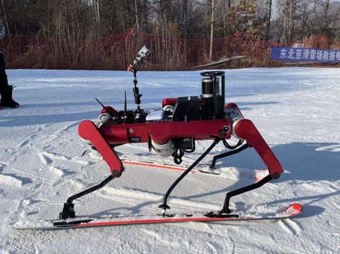 Robot trượt tuyết có thể tranh tài cùng các vận động viên - Ảnh 2. Robot trượt tuyết có thể tranh tài cùng các vận động viên - Ảnh 2.