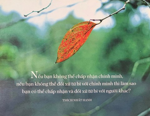 Tiếp xúc sâu sắc với hiện tại cùng thiền sư Thích Nhất Hạnh - Ảnh 7.