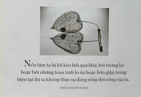 Tiếp xúc sâu sắc với hiện tại cùng thiền sư Thích Nhất Hạnh - Ảnh 3. Tiếp xúc sâu sắc với hiện tại cùng thiền sư Thích Nhất Hạnh - Ảnh 3.