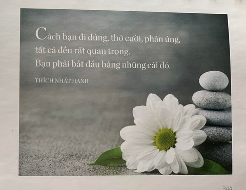 Tiếp xúc sâu sắc với hiện tại cùng thiền sư Thích Nhất Hạnh - Ảnh 9.