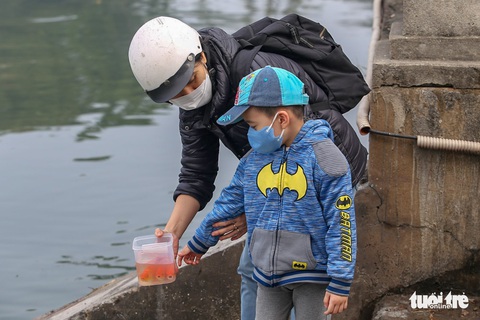 Chưa đến ngày ông Táo, nhiều người Hà Nội đã thả cá chép - Ảnh 1. Chưa đến ngày ông Táo, nhiều người Hà Nội đã thả cá chép - Ảnh 1.