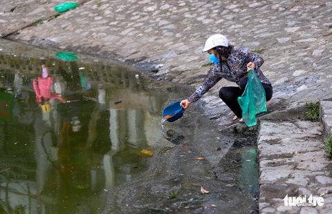 Chưa đến ngày ông Táo, nhiều người Hà Nội đã thả cá chép - Ảnh 8. Chưa đến ngày ông Táo, nhiều người Hà Nội đã thả cá chép - Ảnh 8.