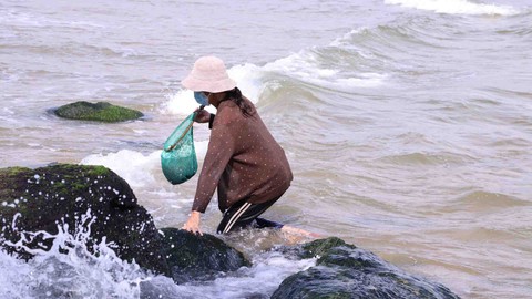 Đu mình trên vách đá hái rong mứt - Ảnh 4. Đu mình trên vách đá hái rong mứt - Ảnh 4.