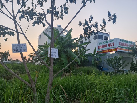 Nóng lạnh chợ nhà đất thời bình thường mới - Kỳ 2: Xuống cọc nhanh tay đi anh - Ảnh 1. Nóng lạnh chợ nhà đất thời bình thường mới - Kỳ 2: Xuống cọc nhanh tay đi anh - Ảnh 1.