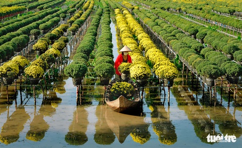 Rộn ràng thi ảnh Nụ xuân: Em ơi lắng nghe mùa xuân về... - Ảnh 10. Rộn ràng thi ảnh Nụ xuân: Em ơi lắng nghe mùa xuân về... - Ảnh 10.