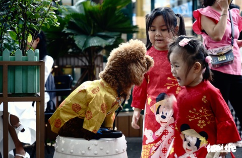 Rộn ràng thi ảnh Nụ xuân: Em ơi lắng nghe mùa xuân về... - Ảnh 6. Rộn ràng thi ảnh Nụ xuân: Em ơi lắng nghe mùa xuân về... - Ảnh 6.