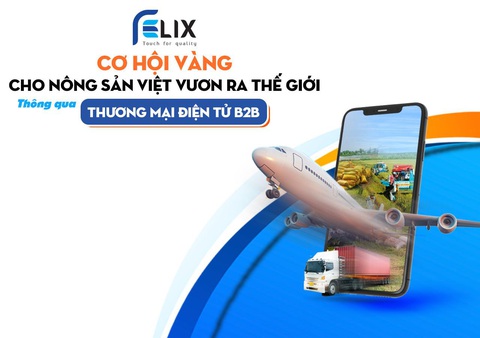 Cơ hội nào cho thương mại điện tử B2B Việt Nam vươn tầm quốc tế? - Ảnh 3. Cơ hội nào cho thương mại điện tử B2B Việt Nam vươn tầm quốc tế? - Ảnh 3.
