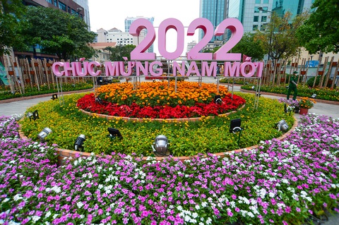 Đường hoa Nguyễn Huệ sẽ tươi sắc cùng lúa chín, giàn bầu, cà chua... - Ảnh 1. Đường hoa Nguyễn Huệ sẽ tươi sắc cùng lúa chín, giàn bầu, cà chua... - Ảnh 1.