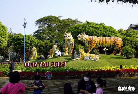 Hổ Vũng Tàu… dương oai - Ảnh 2. Hổ Vũng Tàu… dương oai - Ảnh 2.