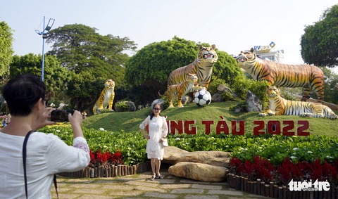 Hổ Vũng Tàu… dương oai - Ảnh 1. Hổ Vũng Tàu… dương oai - Ảnh 1.