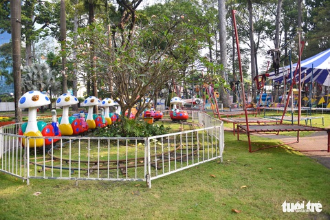 Rực sắc hoa tại Hội hoa xuân Nhâm Dần - Ảnh 4. Rực sắc hoa tại Hội hoa xuân Nhâm Dần - Ảnh 4.