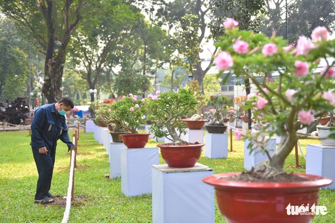 Rực sắc hoa tại Hội hoa xuân Nhâm Dần - Ảnh 9. Rực sắc hoa tại Hội hoa xuân Nhâm Dần - Ảnh 9.