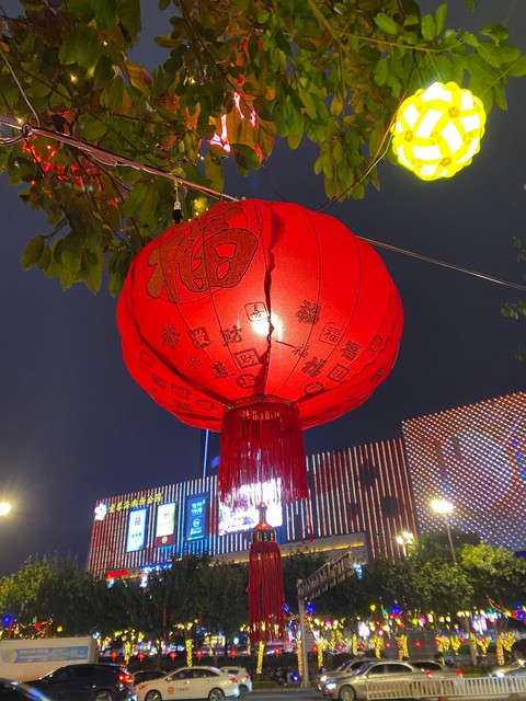 Dịch bệnh, du học sinh 3-4 năm chưa về quê, Tết chỉ thèm bữa cơm với mẹ cha - Ảnh 2. Dịch bệnh, du học sinh 3-4 năm chưa về quê, Tết chỉ thèm bữa cơm với mẹ cha - Ảnh 2.