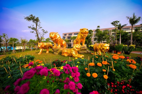 Vườn hoa Xuân Gem Sky World - Ảnh 1. Vườn hoa Xuân Gem Sky World - Ảnh 1.