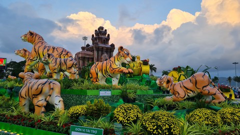 Người dân Quy Nhơn thích thú ngắm gia đình nhà hổ sum vầy - Ảnh 4. Người dân Quy Nhơn thích thú ngắm gia đình nhà hổ sum vầy - Ảnh 4.