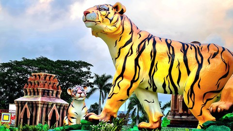 Người dân Quy Nhơn thích thú ngắm gia đình nhà hổ sum vầy - Ảnh 5. Người dân Quy Nhơn thích thú ngắm gia đình nhà hổ sum vầy - Ảnh 5.