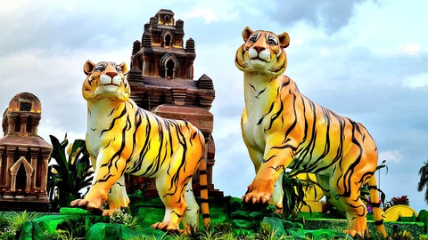 Người dân Quy Nhơn thích thú ngắm gia đình nhà hổ sum vầy - Ảnh 2. Người dân Quy Nhơn thích thú ngắm gia đình nhà hổ sum vầy - Ảnh 2.