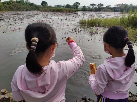 Bài tập đặc biệt cô giao ngày Tết - Ảnh 2. Bài tập đặc biệt cô giao ngày Tết - Ảnh 2.