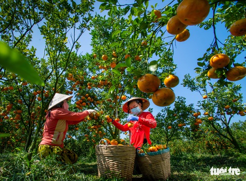 Thi ảnh Nụ xuân: Ngọt ngào tết sẻ chia - Ảnh 2. Thi ảnh Nụ xuân: Ngọt ngào tết sẻ chia - Ảnh 2.