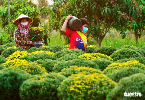 Thi ảnh Nụ xuân: Ngọt ngào tết sẻ chia - Ảnh 10. Thi ảnh Nụ xuân: Ngọt ngào tết sẻ chia - Ảnh 10.