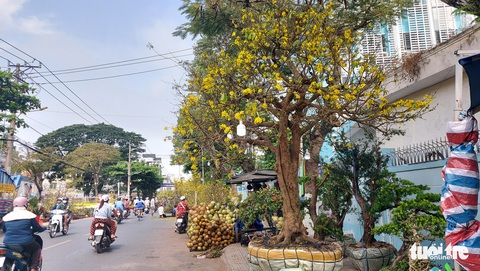 Làm phố Ông Đồ để giúp dân du xuân, vui Tết xưa - Ảnh 3. Làm phố Ông Đồ để giúp dân du xuân, vui Tết xưa - Ảnh 3.