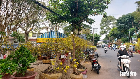 Làm phố Ông Đồ để giúp dân du xuân, vui Tết xưa - Ảnh 2. Làm phố Ông Đồ để giúp dân du xuân, vui Tết xưa - Ảnh 2.