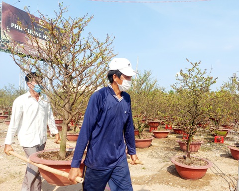 Chở thuê mùa xuân, tôi vừa vui vừa có tiền sắm tết cho con - Ảnh 2. Chở thuê mùa xuân, tôi vừa vui vừa có tiền sắm tết cho con - Ảnh 2.