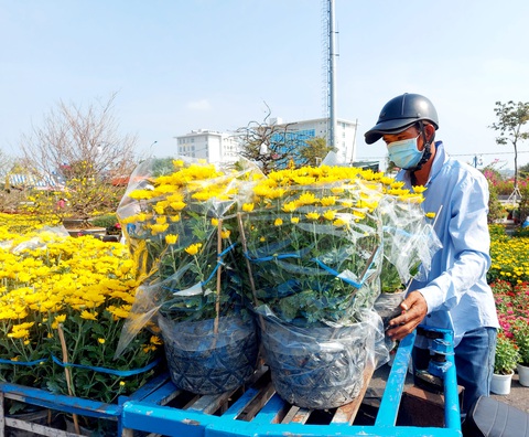 Chở thuê mùa xuân, tôi vừa vui vừa có tiền sắm tết cho con - Ảnh 1. Chở thuê mùa xuân, tôi vừa vui vừa có tiền sắm tết cho con - Ảnh 1.