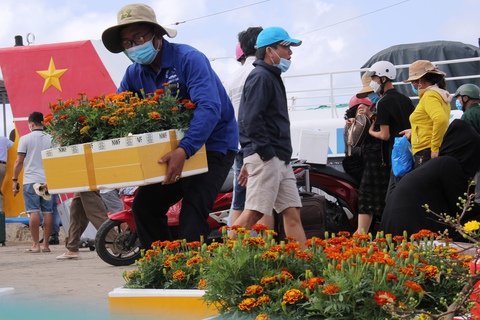 Sắc xuân ngập tràn quê hương Hải đội Hoàng Sa - Ảnh 4. Sắc xuân ngập tràn quê hương Hải đội Hoàng Sa - Ảnh 4.