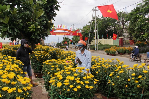 Sắc xuân ngập tràn quê hương Hải đội Hoàng Sa - Ảnh 6. Sắc xuân ngập tràn quê hương Hải đội Hoàng Sa - Ảnh 6.