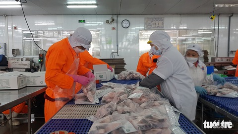 Nam Việt xuất khẩu hơn 20 triệu USD cá tra thành phẩm trong tháng 1-2022 - Ảnh 1. Nam Việt xuất khẩu hơn 20 triệu USD cá tra thành phẩm trong tháng 1-2022 - Ảnh 1.