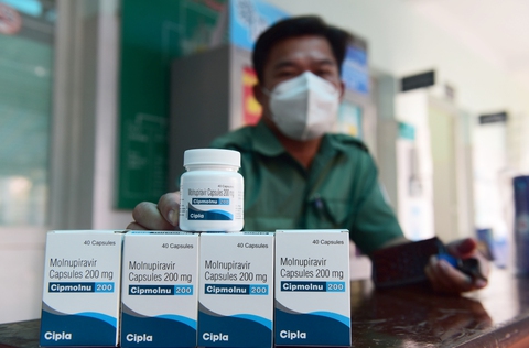 Xem xét cấp số đăng ký cho 4 nhà sản xuất thuốc Molnupiravir nội - Ảnh 1. Xem xét cấp số đăng ký cho 4 nhà sản xuất thuốc Molnupiravir nội - Ảnh 1.