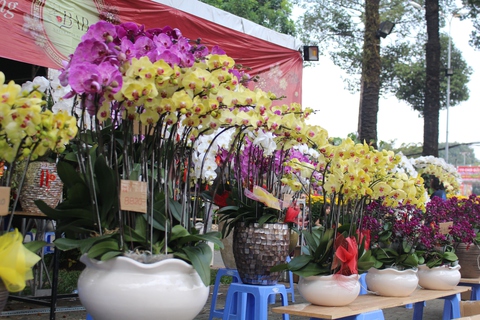 Chợ hoa Tết, người bán, người mua hồi hộp chờ 2 ngày cuối - Ảnh 6. Chợ hoa Tết, người bán, người mua hồi hộp chờ 2 ngày cuối - Ảnh 6.
