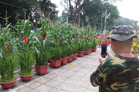 Chợ hoa Tết, người bán, người mua hồi hộp chờ 2 ngày cuối - Ảnh 9. Chợ hoa Tết, người bán, người mua hồi hộp chờ 2 ngày cuối - Ảnh 9.