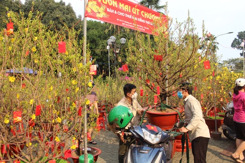 Chợ hoa Tết, người bán, người mua hồi hộp chờ 2 ngày cuối - Ảnh 1. Chợ hoa Tết, người bán, người mua hồi hộp chờ 2 ngày cuối - Ảnh 1.