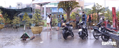 Chợ hoa Tết lớn nhất Đà Nẵng: Sức mua đã giảm 50%, lại còn mưa kiểu ni, căng quá - Ảnh 4. Chợ hoa Tết lớn nhất Đà Nẵng: Sức mua đã giảm 50%, lại còn mưa kiểu ni, căng quá - Ảnh 4.