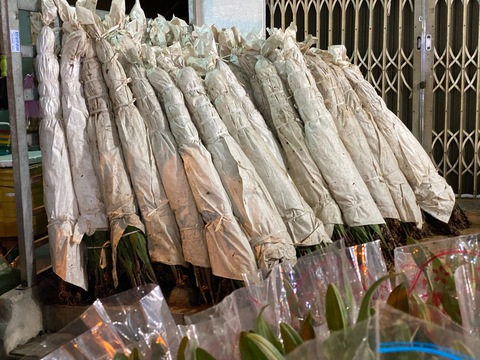 Hoa sỉ cắt cành thắng lớn - Ảnh 2. Hoa sỉ cắt cành thắng lớn - Ảnh 2.