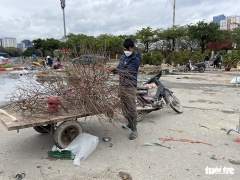 Chiều cuối cùng năm Tân Sửu: Các điểm bán đào, quất, lan... ở Hà Nội ế khách, hoa bó đắt hàng - Ảnh 1. Chiều cuối cùng năm Tân Sửu: Các điểm bán đào, quất, lan... ở Hà Nội ế khách, hoa bó đắt hàng - Ảnh 1.